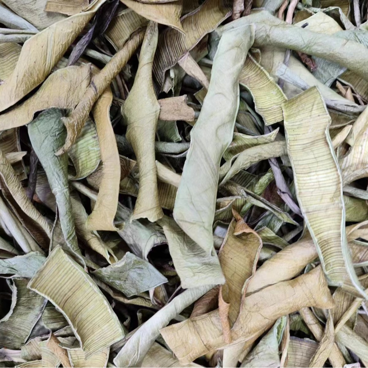 Aloe Peel (Aloe vera) — Dried Aloe Rind & Shreds, Food-Herb Botanical for Tea & Soaks - Image 2