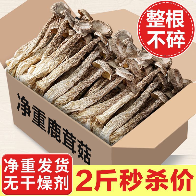 Dried Lyophyllum decastes Broken Pieces Lu Rong Gu Mushroom for Soup and Stir Fry 1000g Net Weight - Image 2