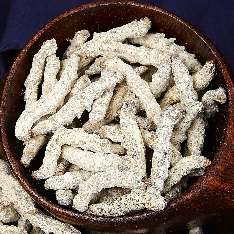 Jiang Can (Bombyx Batryticatus) — Dried White Stiff Silkworm for TCM Decoction & Powder - Image 4