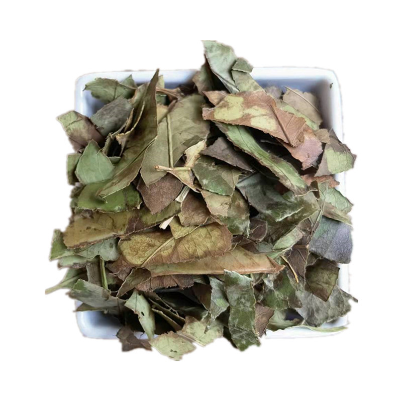 Dried Shi Nan Ye Photinia Leaf Whole Leaf Traditional Chinese Herb for Decoction and Tea - Image 5