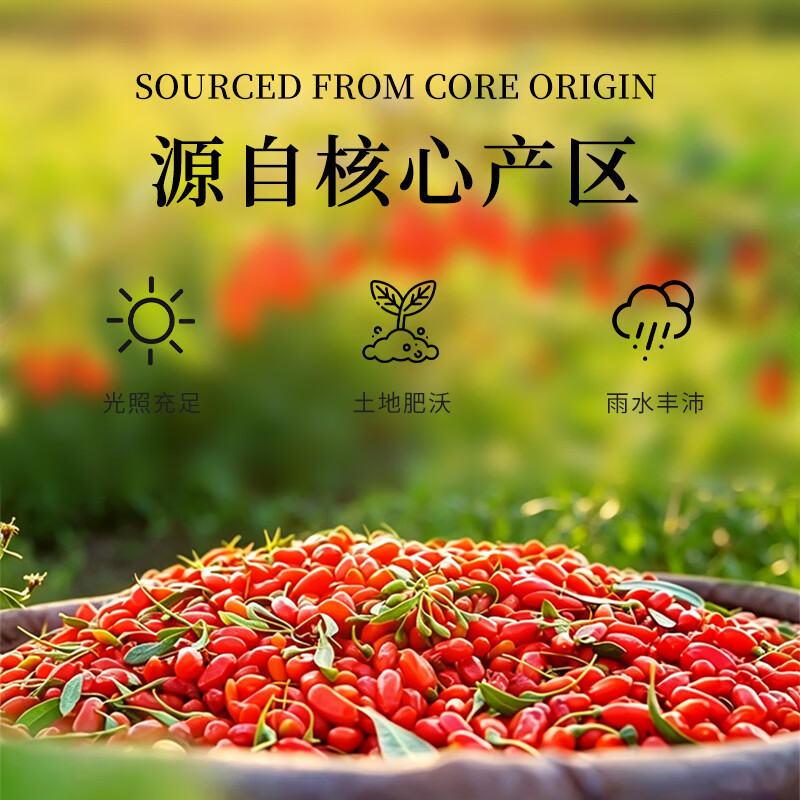 Freeze Dried Goji Berries Gou Qi Zi 100g Premium Ningxia Zhongning Large Fruit Ready to Eat - Image 3