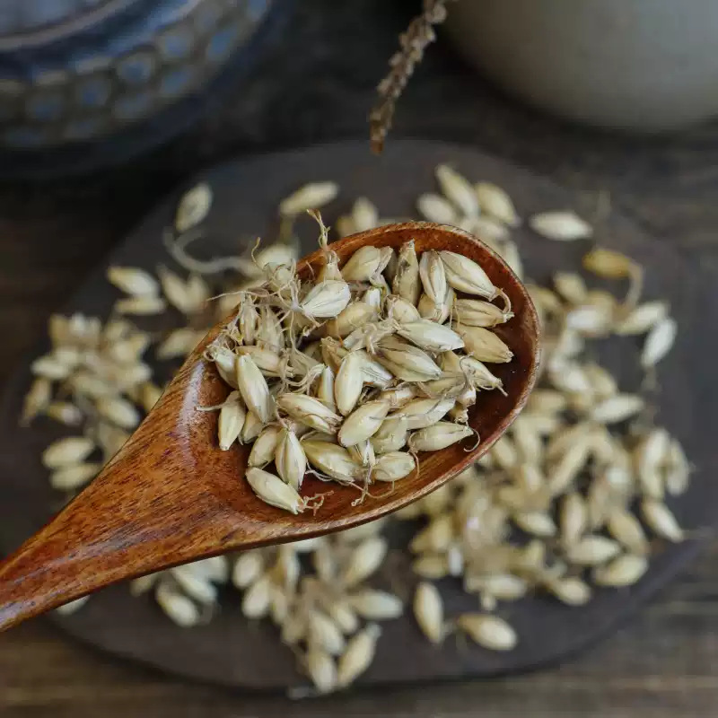 Dried Malt Barley Sprout Mai Ya 500g Natural Sun Dried Chinese Herbal Ingredient - Image 2