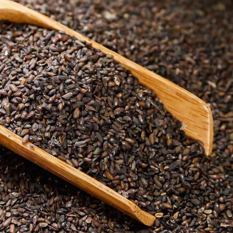 Plantain Seed (Plantago asiatica) — Dried Che Qian Zi Food Herb, 500g - Image 3