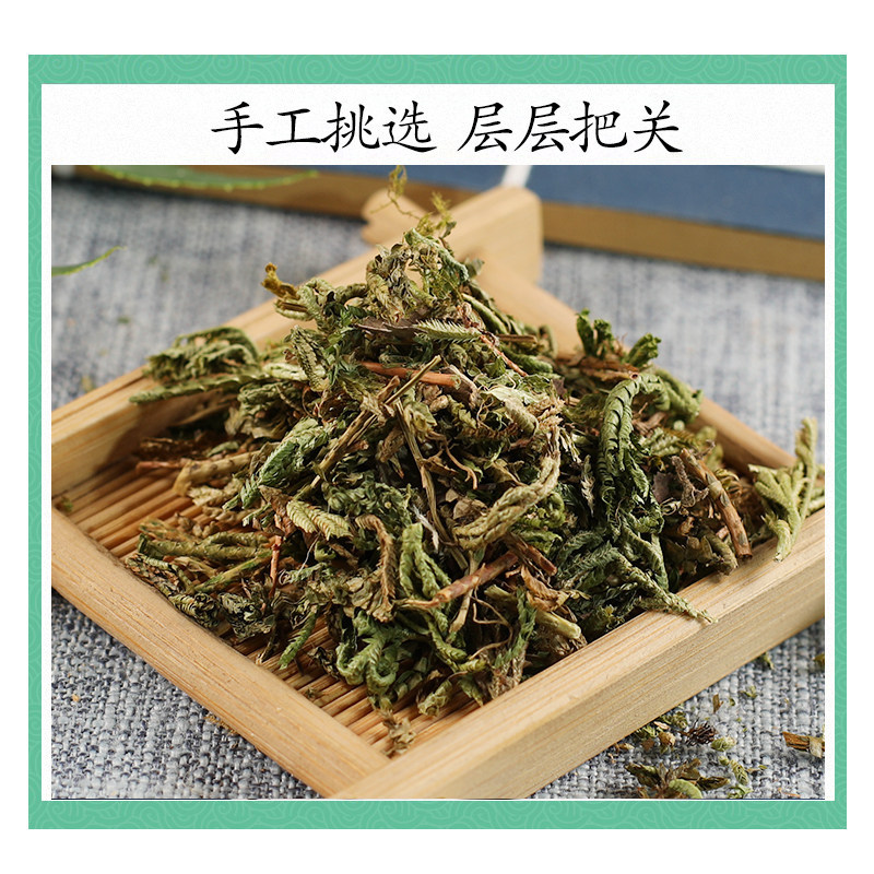 Premium Wild Shi Shang Bai 500g Dried Selaginella Herb Traditional TCM Botanical - Image 3
