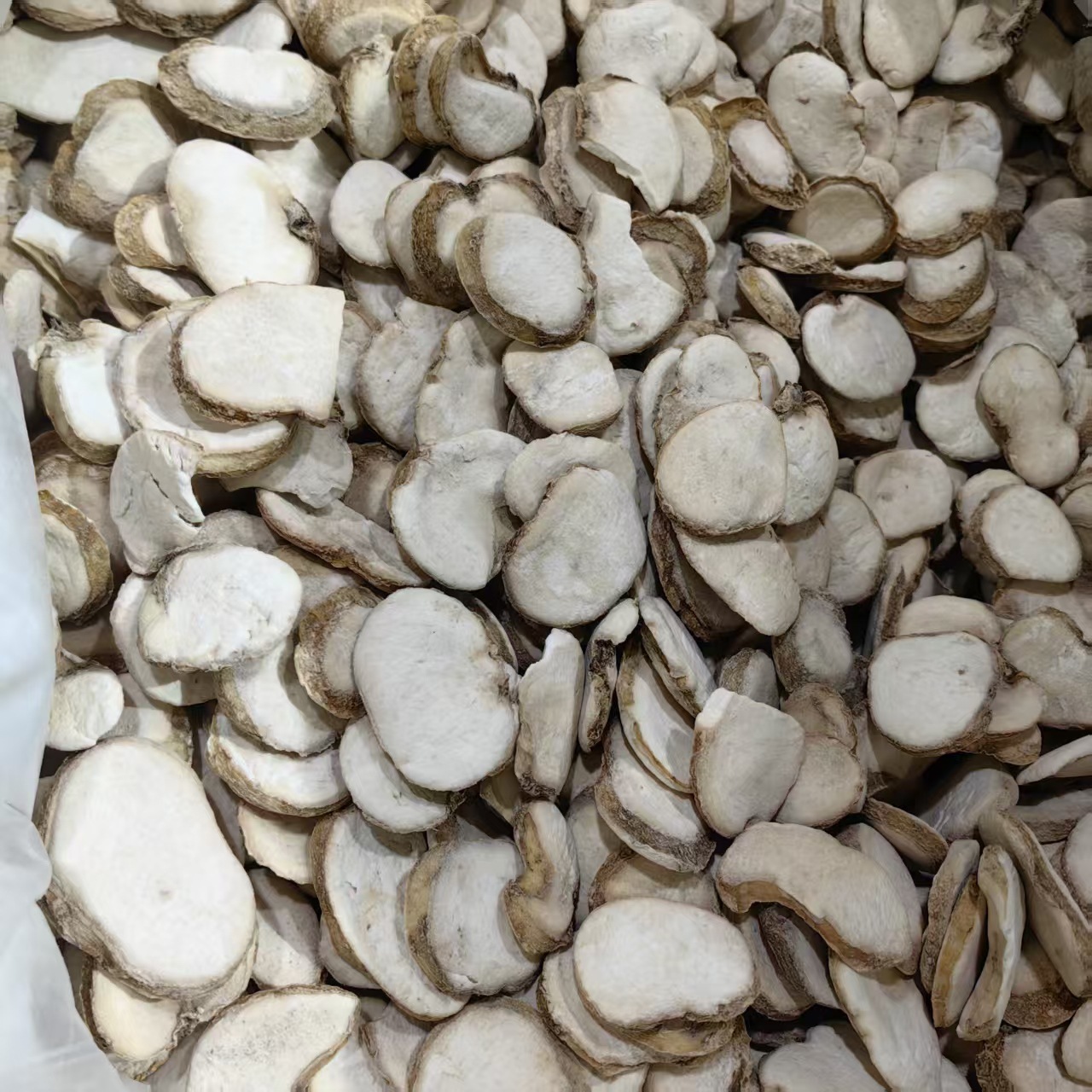 Zhejiang Fritillaria Bulb Powder Zhe Bei Mu 500g Traditional Herbal Ingredient - Image 3