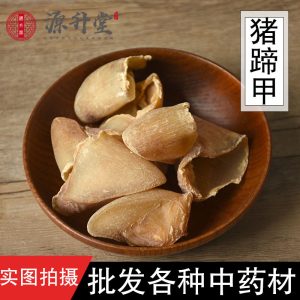 Pig Hoof Shell (Sus scrofa) — Dried Pig Trotter Nail for Traditional Herbal Decoction