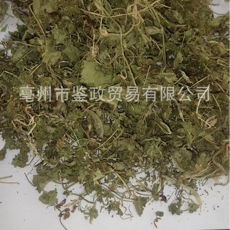 Lady's Mantle Leaf Pi Feng Cao Dried Herb Traditional Herbal Tea and Culinary Use Sealed Bag - Image 3