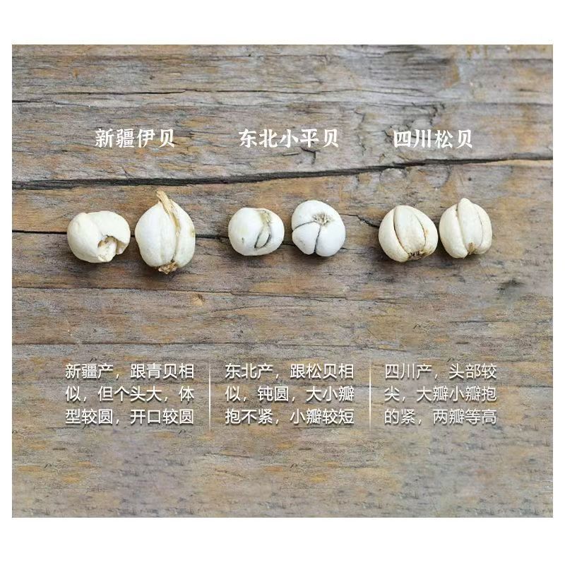 Sichuan Chuan Bei Mu Song Bei Fritillaria Bulbs Dried TCM Herb 1g Sample Pack - Image 4