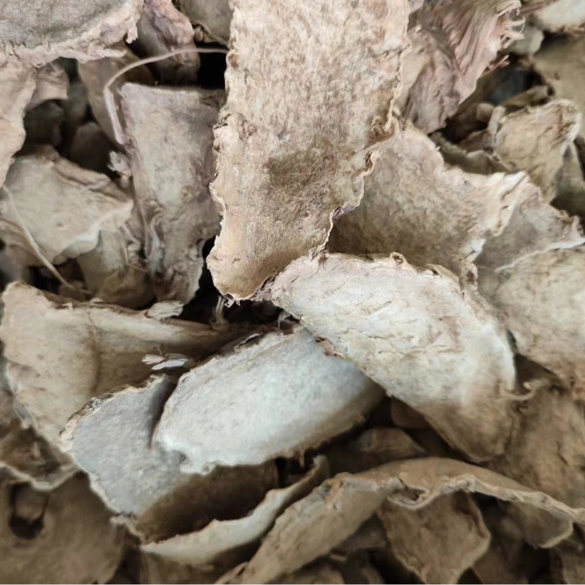 Pian Jiang Huang Slices (Curcuma wenyujin) — Dried Food Herb for Tea & Soup - Image 3