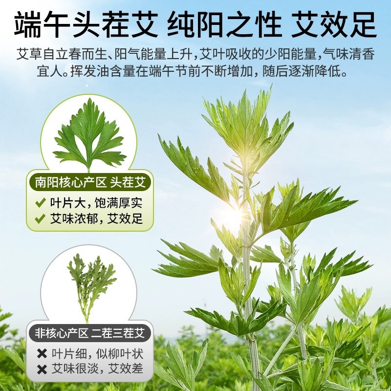 Mugwort Foot Soak Pack Ai Ye 25g x 20 Bags Wild Dried Chinese Herbal Bath and Foot Soak - Image 2