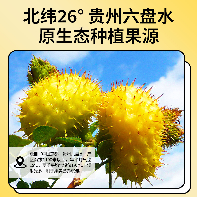 Cili Pear Juice Concentrate 500ml Boxed Fresh Pressed Guizhou Rosa roxburghii Drink - Image 3
