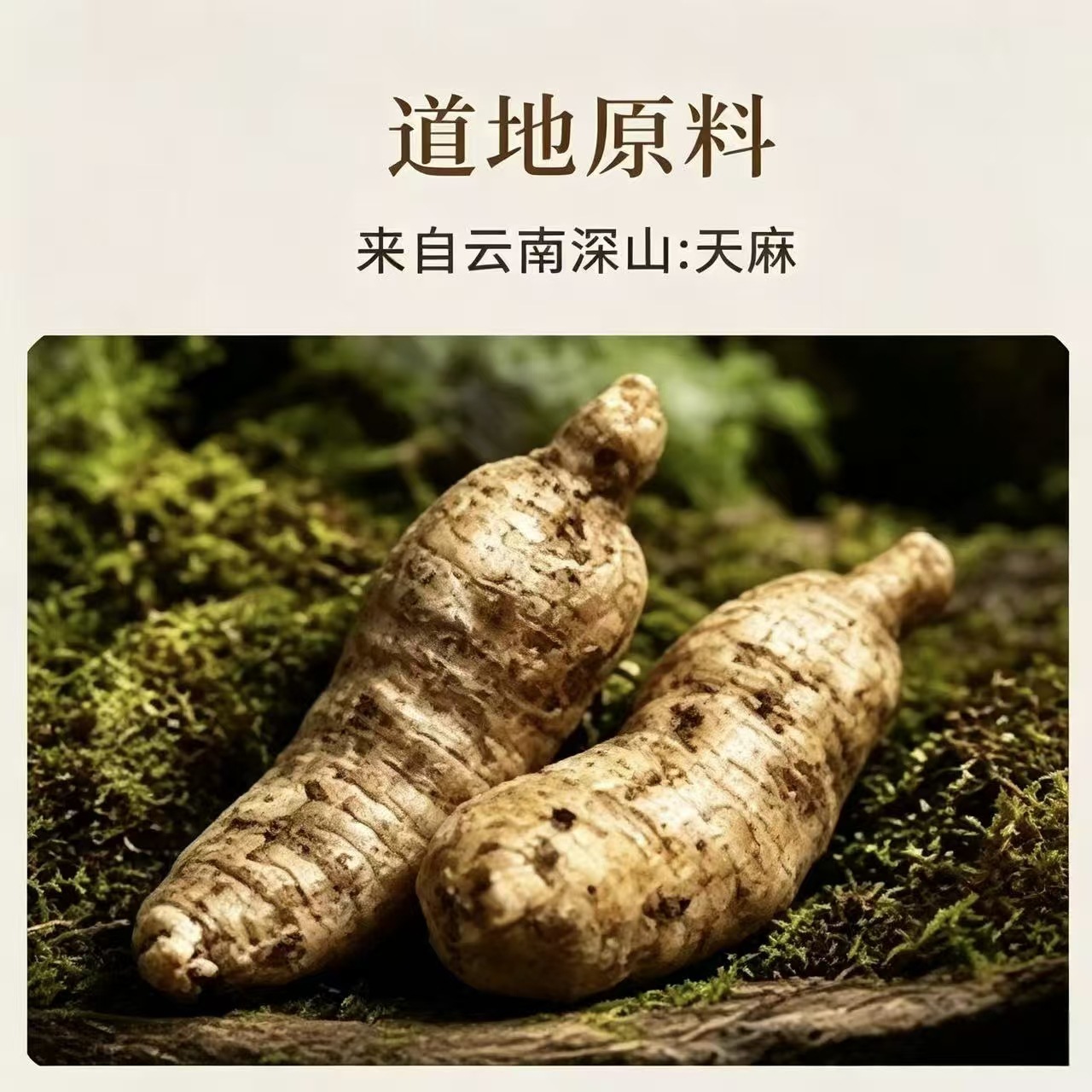 Yunnan Dried Tianma Slices Gastrodia Elata Bulk Soup Herb 1000g Bag - Image 2