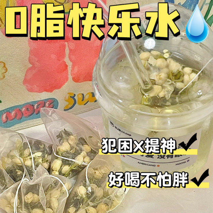 Jasmine Green Tea Bags Maojian Cold Brew Loose Leaf Tea 6 Large Bags 300 Individual Sachets Sugar Free - Image 2