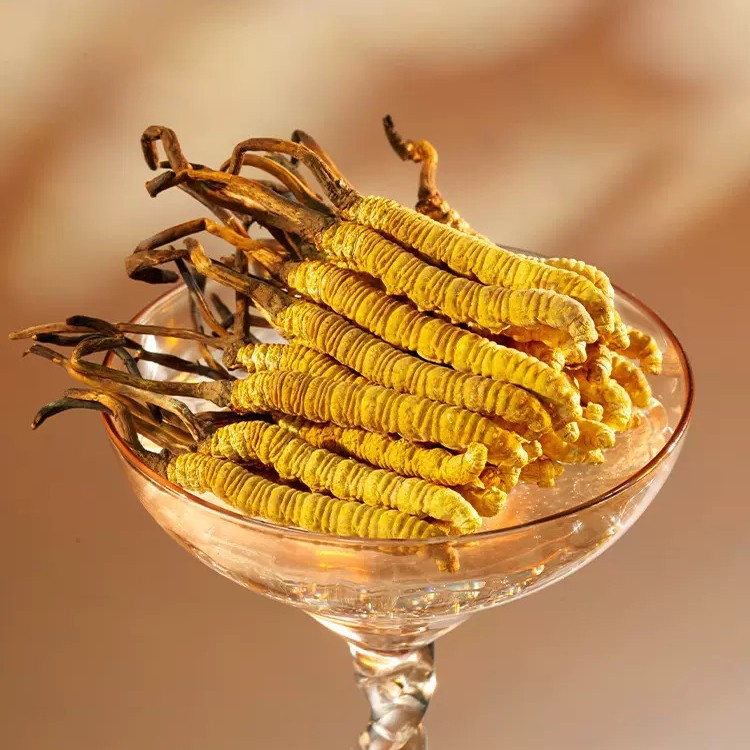 Cordyceps Sinensis Dong Chong Xia Cao Dried Whole Caterpillar Fungus Tibet Nagqu First Harvest Gift Box - Image 2