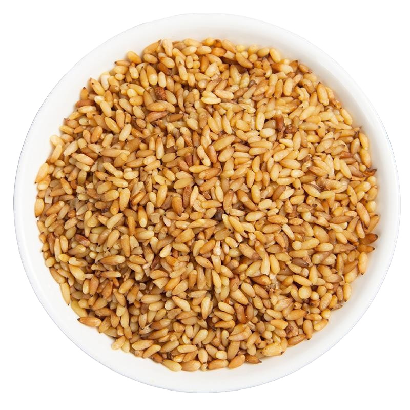 Dried Platycladus Seed Bai Zi Ren 500g Herbal Seeds for Tea and Wine Infusion - Image 5