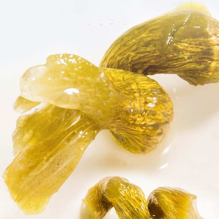 Huo Shan Shi Hu Feng Dou Dendrobium Stems 100g Gift Box Dried Tie Pi Shi Hu for Tea and Soup - Image 3