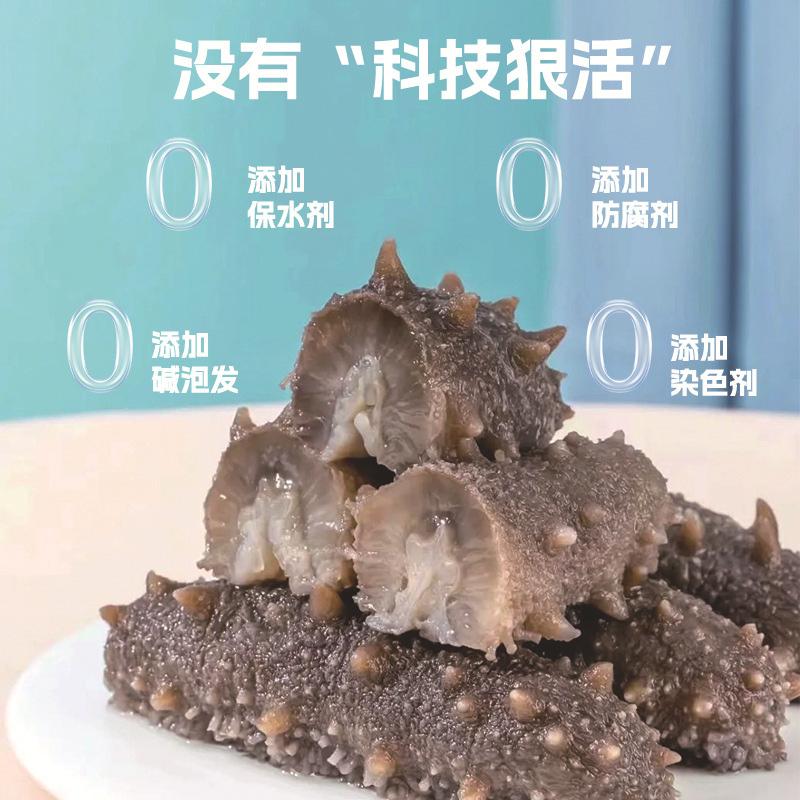 Ready to Eat Sea Cucumber Liaoning Spiny Sea Cucumber Frozen 500g Vacuum Packed - Image 2