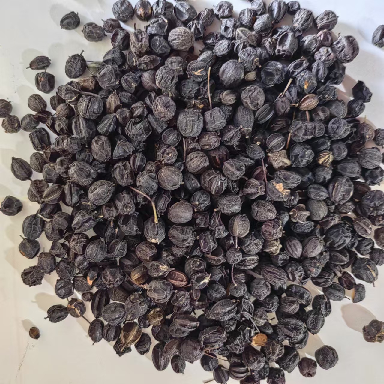 Dried Acanthopanax Senticosus Seeds Ci Wu Jia Zi 500g Clean Black Siberian Ginseng Seeds from Changbai Mountain Jilin - Image 2