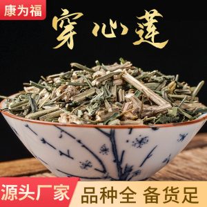Chuan Xin Lian Powder (Andrographis paniculata) — Bitter Herb Powder, 500g