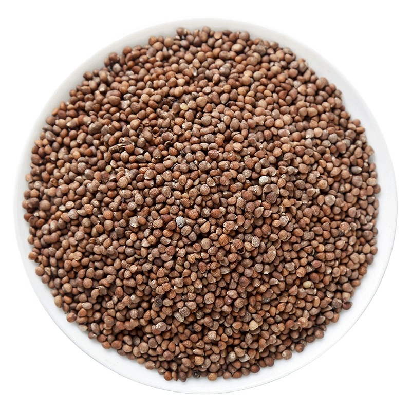 Perilla Seed Zi Su Zi 500g Dried Fructus Perillae for Tea Wine and Culinary Use - Image 5