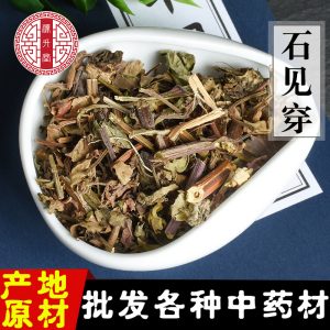 Shi Jian Chuan (Salvia chinensis) — Dried Chinese Herb, Unsulfured, 500g