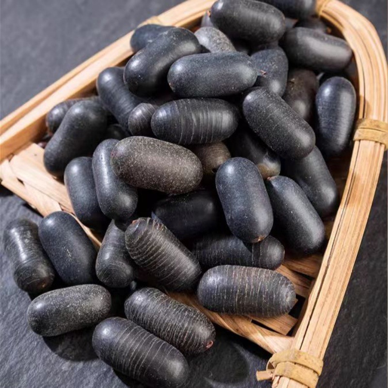 Wild Guangxi Shuang Shen Zi (Double Kidney Seed) — Dried Herbal Fruit for Wine Infusion & TCM Blends - Image 4