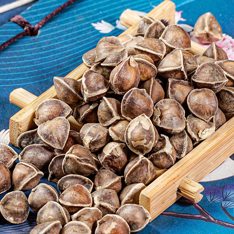 Moringa Seeds La Mu Zi 500g Yunnan Selected Large Edible Seeds - Image 2