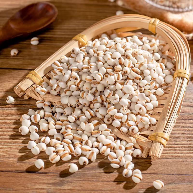 Coix Seed Yi Yi Ren 500g Dried Job's Tears Whole Grains for Soup Congee and Herbal Tea - Image 3