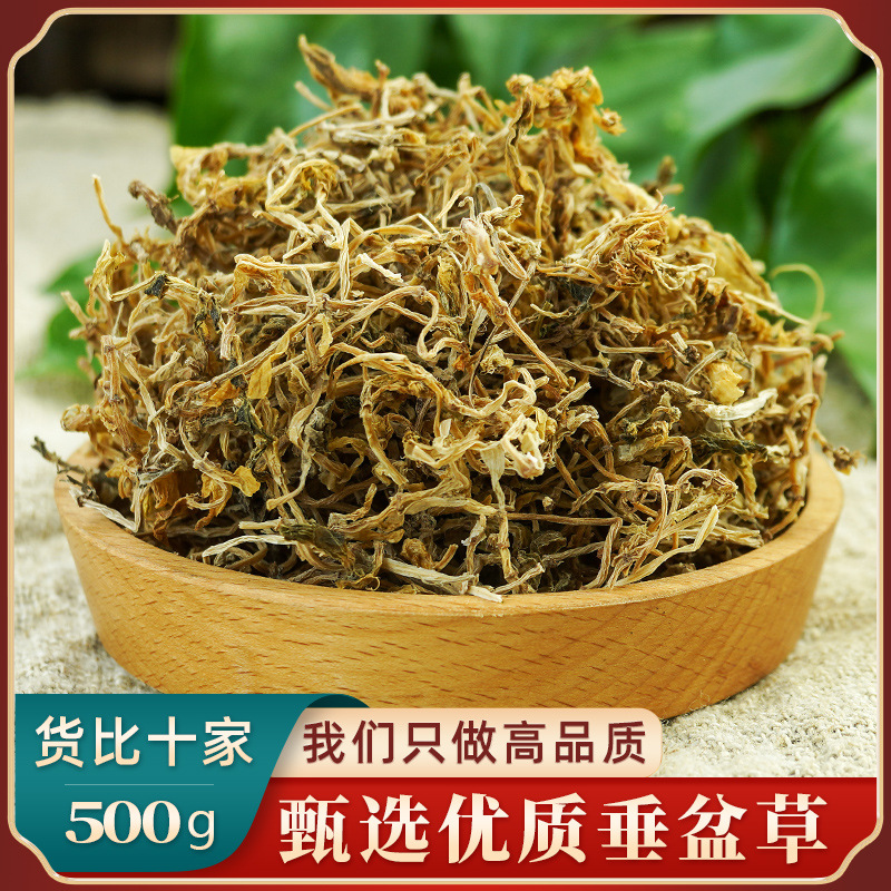 Dried Sedum Herb Chui Pen Cao 500g Wild-Crafted Whole Plant for Tea and Decoction - Image 4