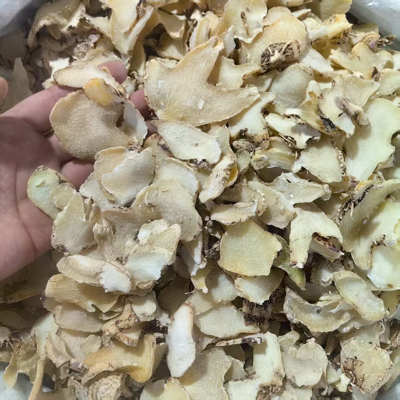 Bai Ji Powder 白芨粉 Dried Bletilla Rhizome Powder Yunnan Herbal Powder 500g - Image 3