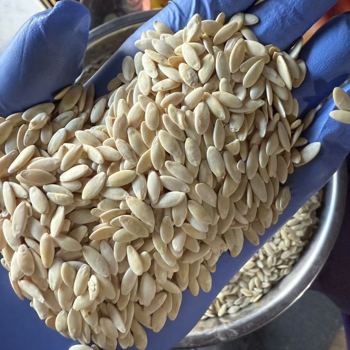 Large White Cucumber Seeds Huang Gua Zi 500g Hand Selected Raw Edible Seeds - Image 4