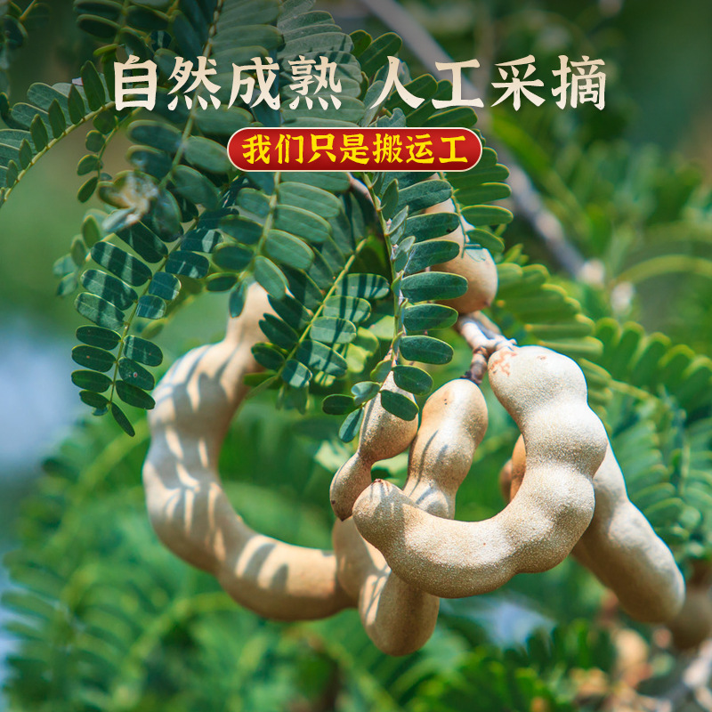 Yunnan Sweet Tamarind Dried Fruit Snack 200g Natural Air Dried Sour Sweet Tamarind - Image 2