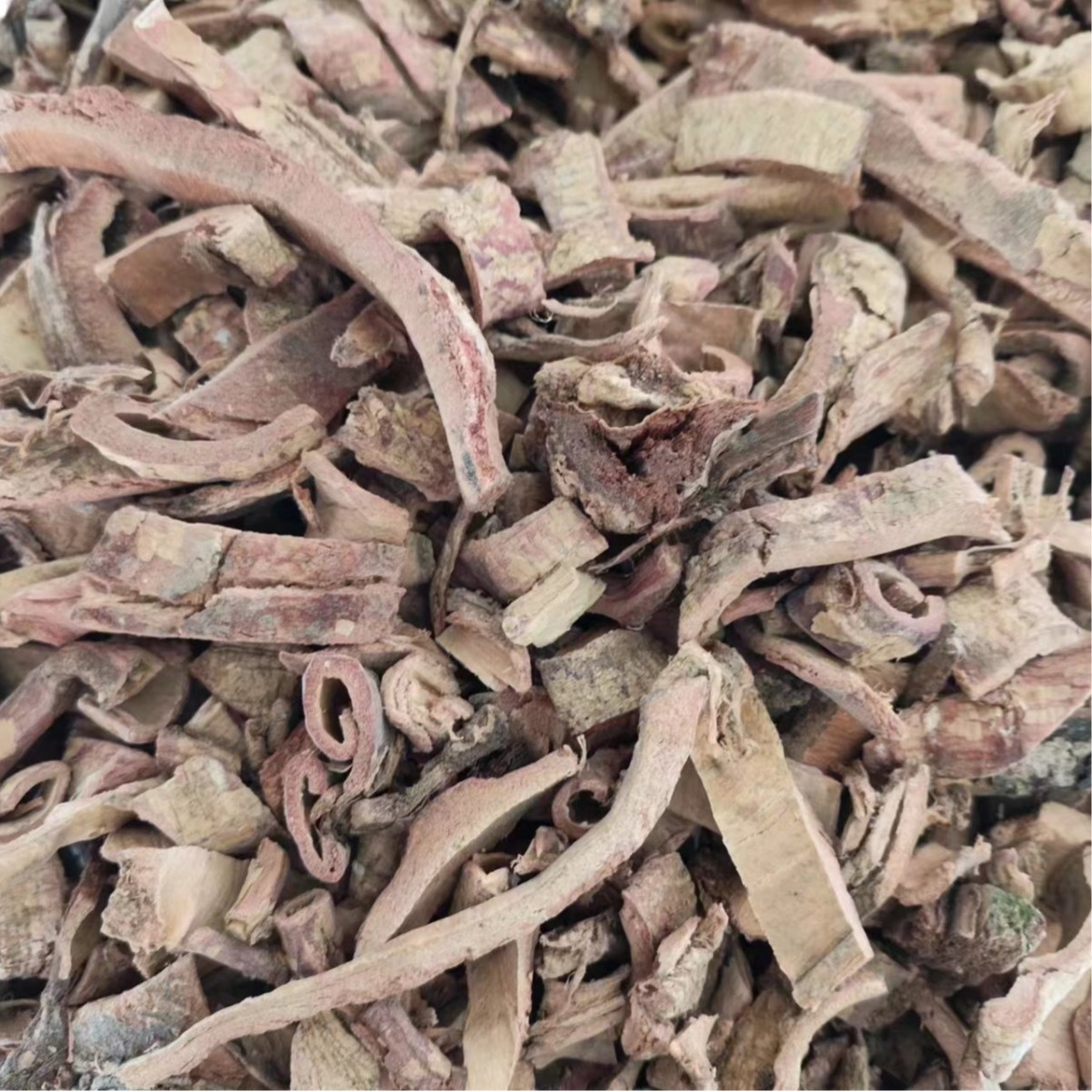 Tu Jin Pi (Pseudolarix amabilis) — Dried Traditional Herb Bark, 500g - Image 4