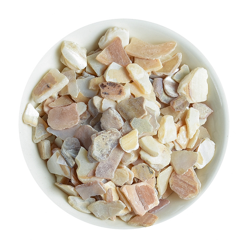 Zhen Zhu Mu (Mother of Pearl / Nacre) — Dried Shell Pieces for Herbal Decoction - Image 5