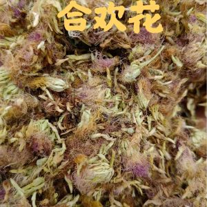 He Huan Hua (Albizia julibrissin) — Dried Silk Tree Flower for Calming Tea & Decoction