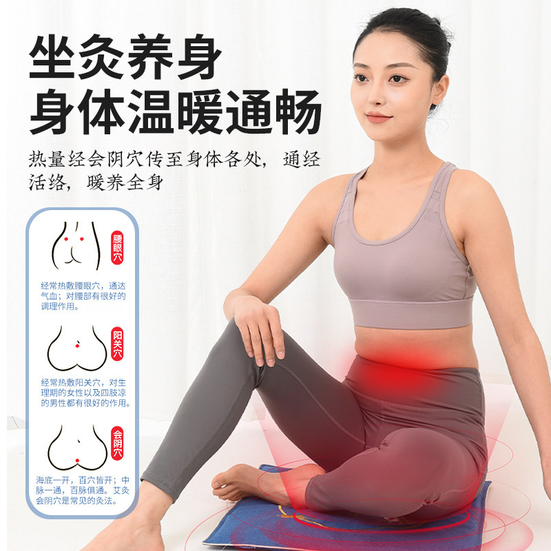 Electric Heated Mugwort Cushion Ai Rong 艾绒 Warm Compress Seat Pad with Backrest 9-Level Timer Temperature Control - Image 3