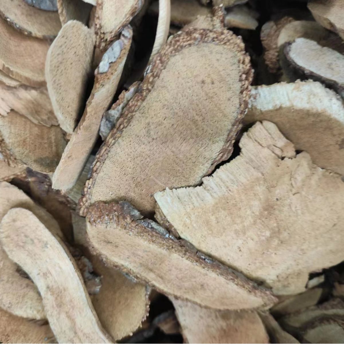Teng Li Gen (Actinidia arguta Root) — Dried Kiwi Vine Root, 500g Herbal Decoction Piece - Image 4