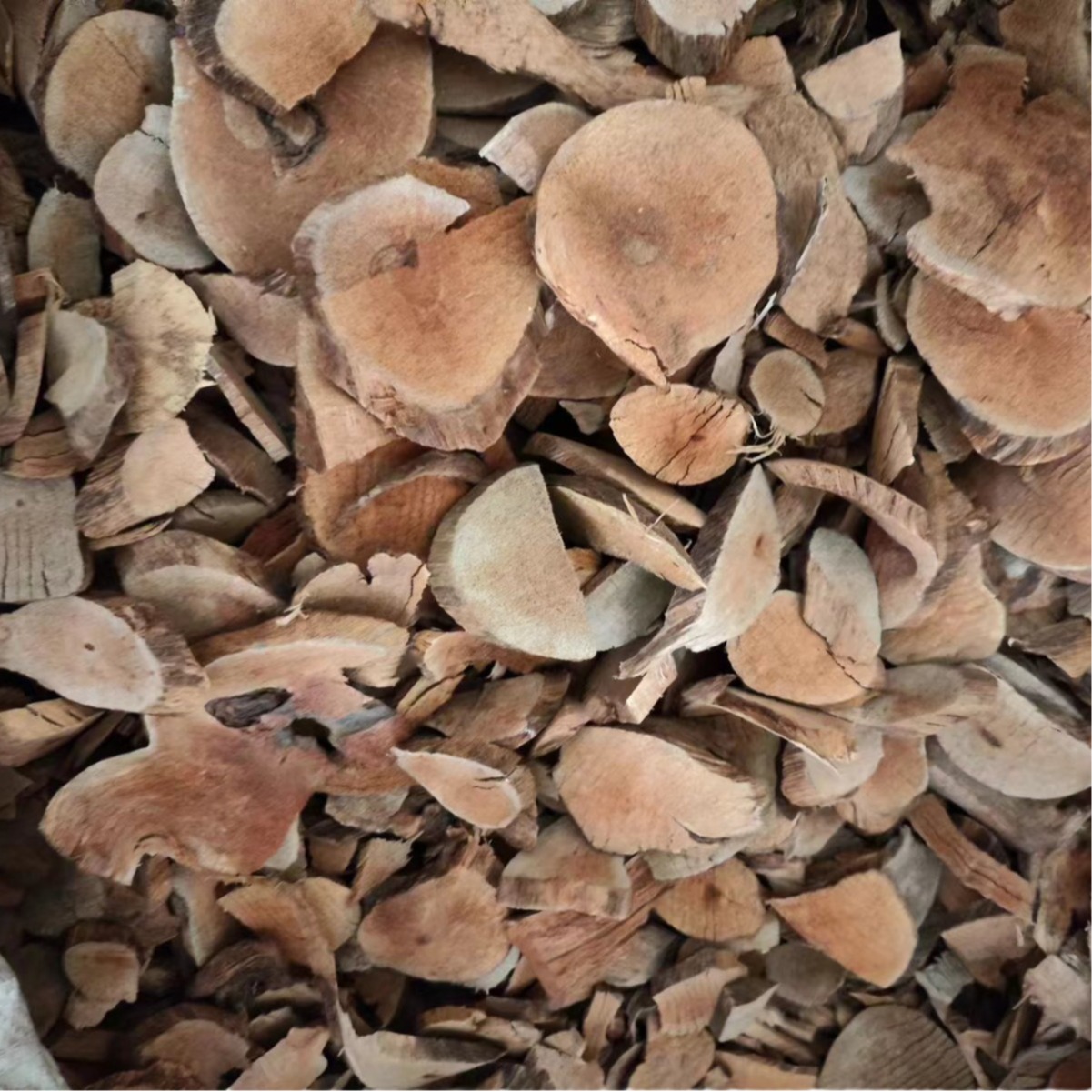 Hei Lao Hu (Kadsura coccinea) — Dried TCM Vine Root & Fruit, 500g - Image 4