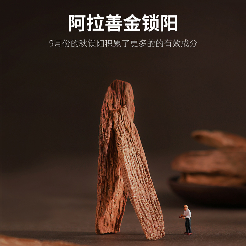 Dried Cynomorium Songaricum Slices Suo Yang 250g Alxa Origin Sun Dried Herbal Decoction Pieces - Image 4