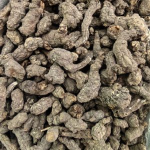 Tian Kui Zi (Semiaquilegia adoxoides) — Dried Food Herb Root, 500g