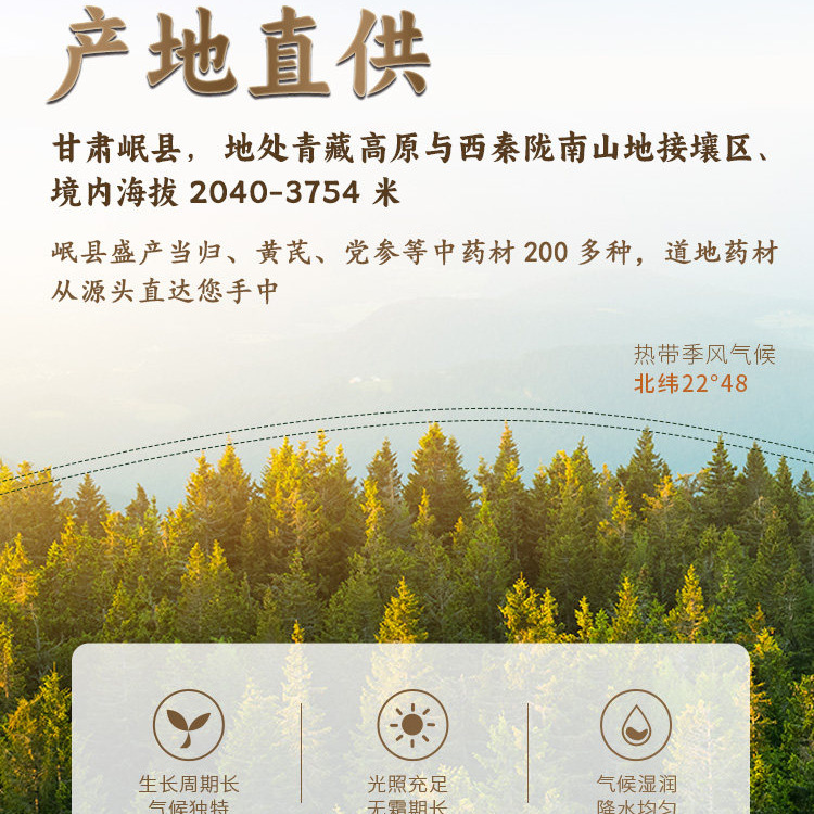 Dried Codonopsis Root Dang Shen 500g Medium Strips with Astragalus for Tea and Soup - Image 4