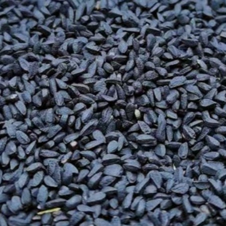 Black Cumin Seeds (Nigella sativa) — Dried Food Herb, 500g Bulk Herbal Seed - Image 2