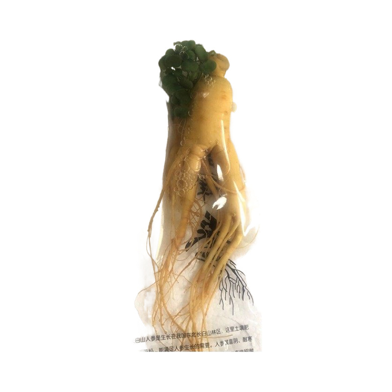 Fresh White Ginseng Root Extra Large Changbai Mountain Ren Shen Soup Tea Wine Ingredient - Image 5