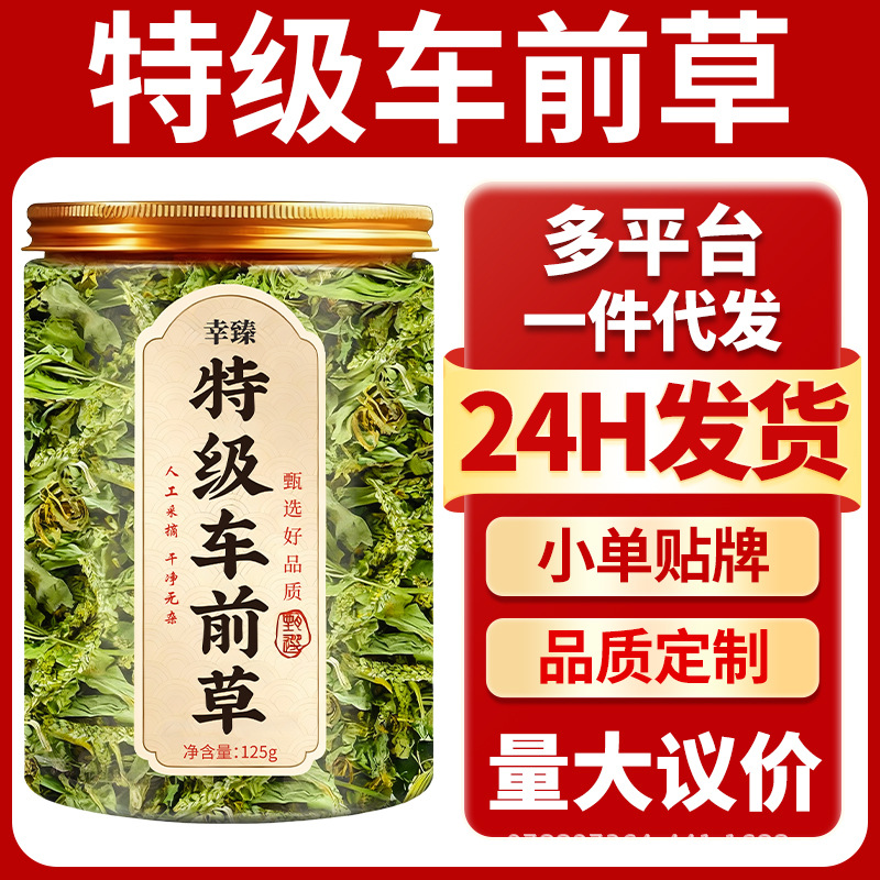 Premium Whole Plantain Herb Dried Wild Natural Sun Dried 500g - Image 2