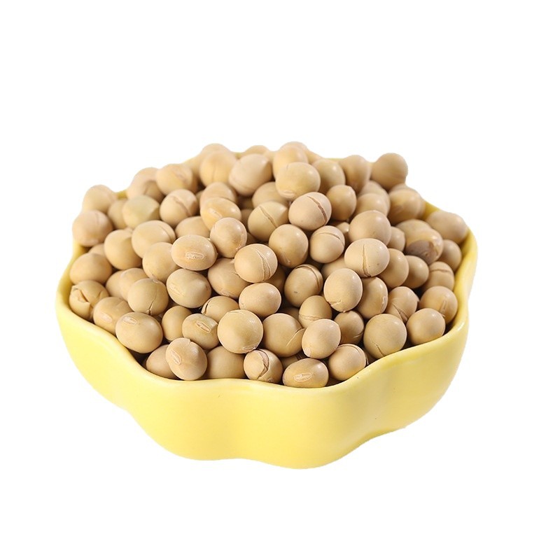 Roasted Soybeans Huang Dou 大豆 50 lb Bulk Bag for Homemade Soymilk Farm Grown Low Temperature Baked - Image 5