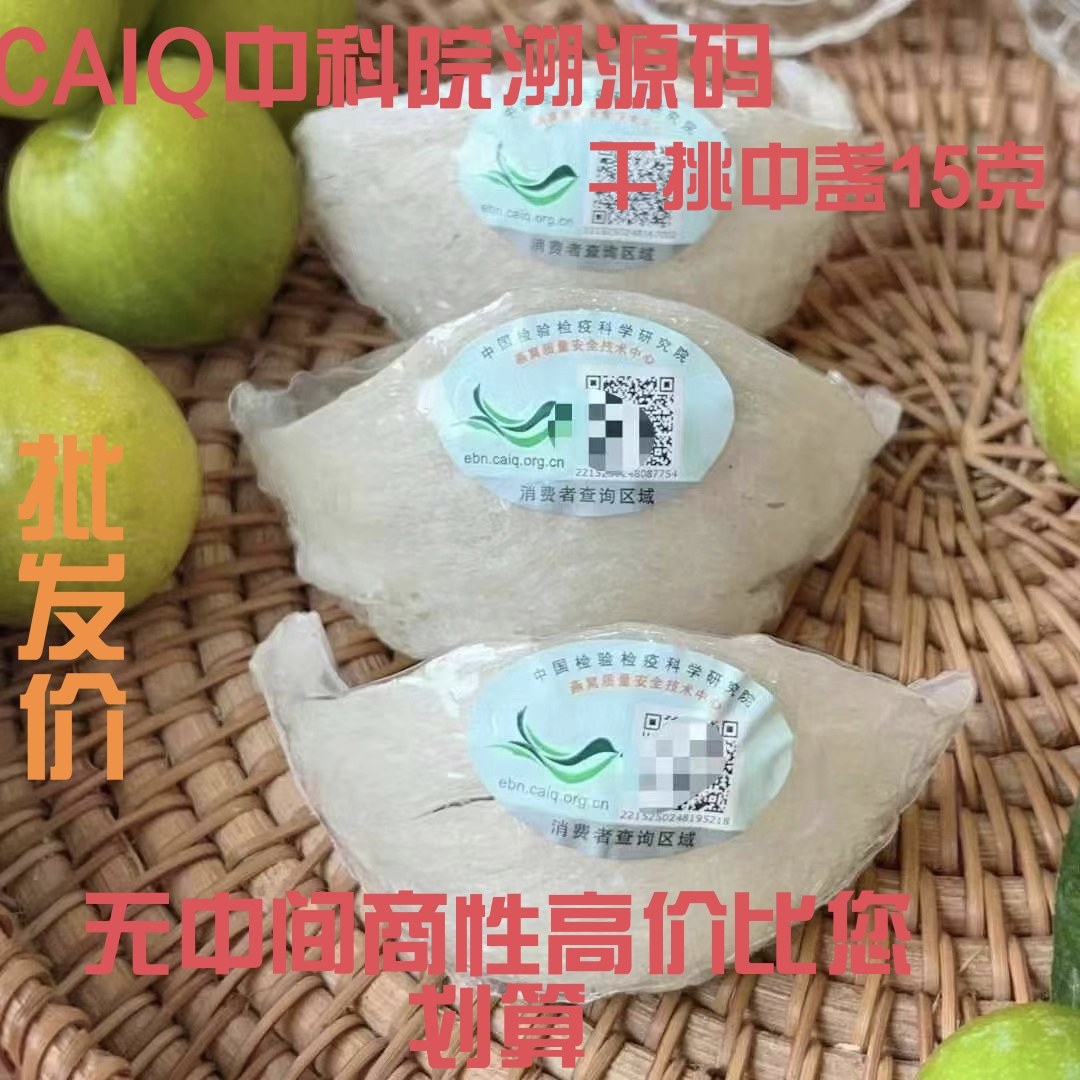 Edible Bird Nest Yan Wo Dry White Nest Strips 100g Natural Swiftlet Nest for Cooking - Image 4