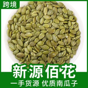 Pumpkin Seed Kernels (Cucurbita moschata) — Raw Shelled Food-Herb Seeds, 500g
