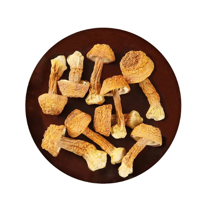 Ji Song Rong (Agaricus blazei) Dried Mushroom — Yunnan Soup Ingredient, 500g - Image 5