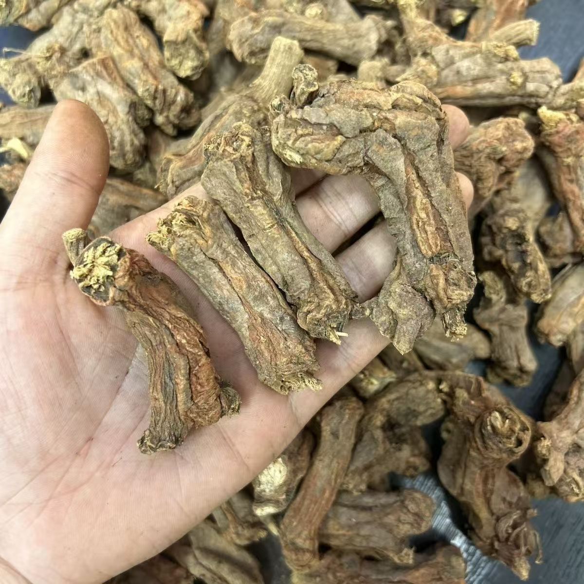 Dried Danshen Root Heads Dan Shen Whole Salvia miltiorrhiza for Decoction 500g - Image 4