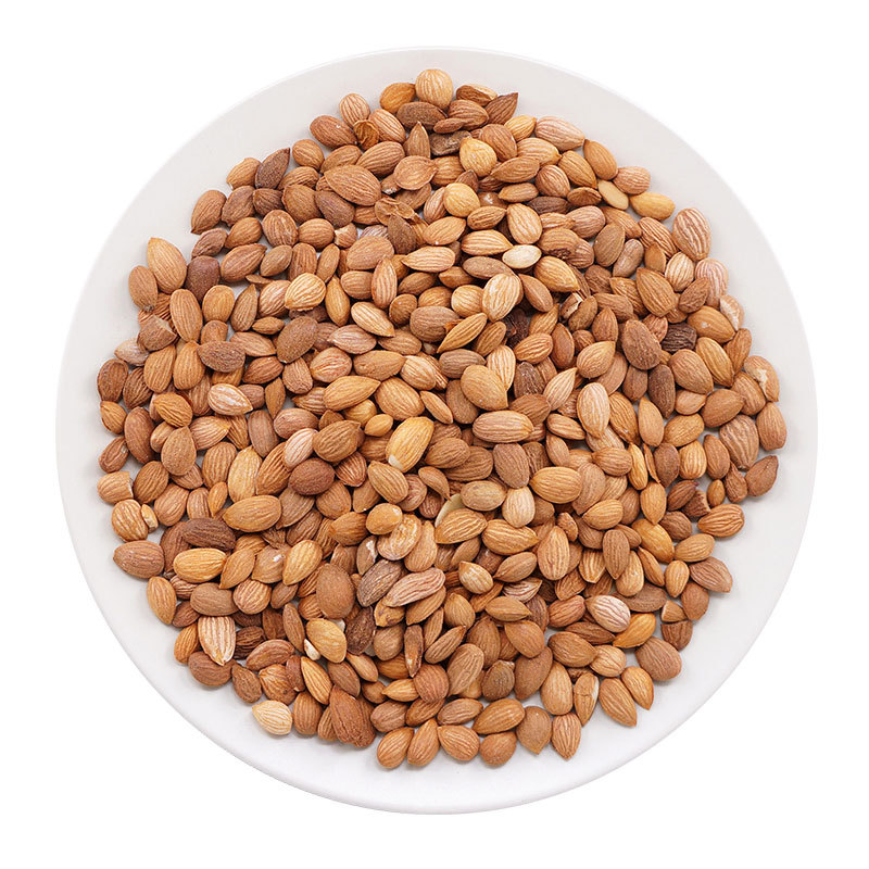 Dried Mountain Peach Kernel Shan Tao Ren 500g Selected Gansu Raw Herb for Decoction and Culinary Use - Image 5